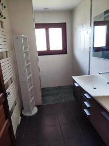 ein Badezimmer mit Waschbecken und Dusche mit Fenster in der Unterkunft Maison de la famille et des amis in Biscarrosse
