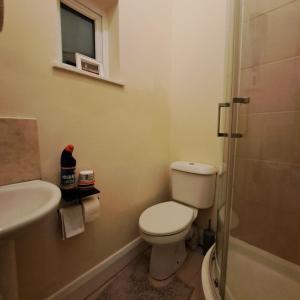 uma casa de banho com um WC, um lavatório e um chuveiro em Family-friendly Studio flat in Dagenham em Dagenham