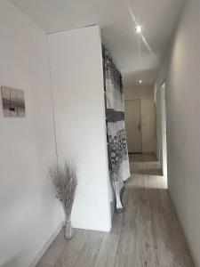 un pasillo con paredes blancas y un jarrón con una planta en Charmant T2 calme , climatisé et piscine privée, en Marsella
