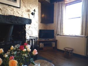 a living room with a fireplace and a television at Bryn-y-Gof in Llwyn-Dafydd