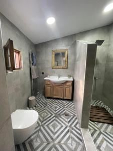 a bathroom with a sink and a toilet at ΠΟΛΥΞΕΝΗ -ΕΚΑΒΗ in Kondiás