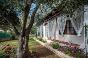 una casa con un árbol y flores en el patio en Sardinia Del Sud, en Porto Columbu - Perdʼe Sali