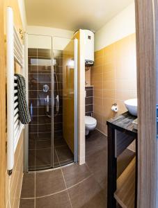 y baño con ducha, aseo y lavamanos. en Penzion Víno Hruška, en Veselí nad Moravou