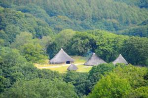 a group of huts in the middle of a forest at Penpedwast Upper Barn Eglwyswrw in Eglwyswrw