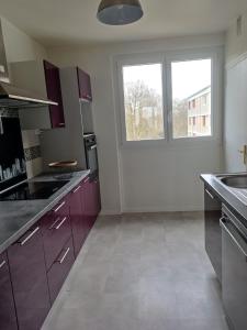 een keuken met paarse kasten en een raam bij Appartement proche PARIS/STADE DE FRANCE in Épinay-sur-Seine