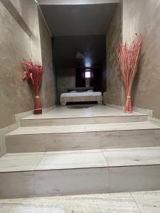 two vases with red flowers are sitting on the stairs at Pensiunea Pelican in Tulcea