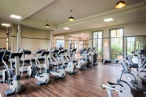 a gym with rows of treadmills and ellipticals at Hyatt Hotel Canberra - A Park Hyatt Hotel in Canberra