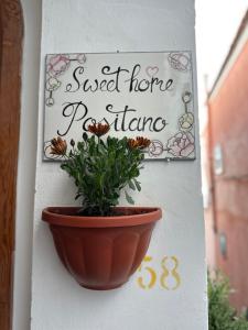 Una pianta in un vaso su un muro con un cartello di Sweet Home Positano a Positano