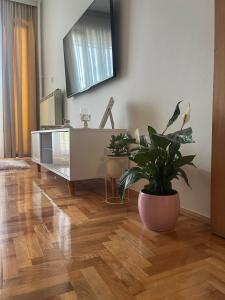 a living room with a table and a potted plant at Apartman Nini in Kraljevo