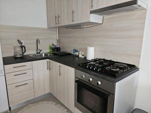 a kitchen with a stove and a sink at Apartman Britt in Zagreb