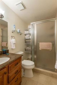 a bathroom with a shower and a toilet and a sink at 98 Elk Horn in Whitefish