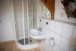 a bathroom with a sink and a shower at Landurlaub auf dem Mellenhof in Funkenhagen +31 photos