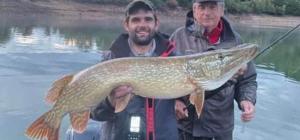 Gallery image of Ancien Presbytère, gîte familial in Florentin-la-Capelle