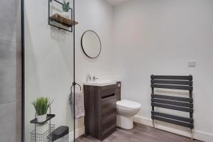 a bathroom with a toilet and a sink and a mirror at Ashley Road Apartment 1 in Poole