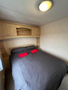 a bed in a trailer with two red pillows at Seaside View Holiday Home in Aberystwyth