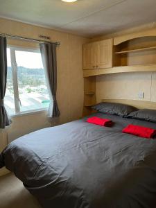 a bedroom with a large bed with red pillows on it at Seaside View Holiday Home in Aberystwyth