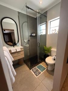 a bathroom with a shower and a toilet and a mirror at Frere Guesthouse in Ermelo