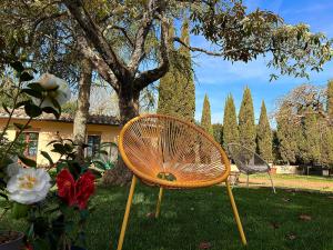 una silla sentada en el césped junto a un árbol en Villa Mucellena, en Casole dʼElsa