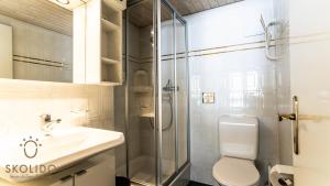 ein Bad mit einer Dusche, einem WC und einem Waschbecken in der Unterkunft Castle, Goms in Blitzingen