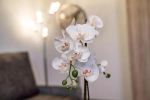 Fotografie z fotogalerie ubytování Linz CITY v Linci