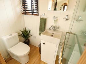 a small bathroom with a toilet and a sink at Portland in Retford