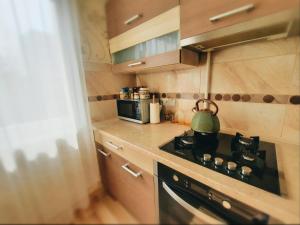 Kuchyň nebo kuchyňský kout v ubytování Dzenu Apartment
