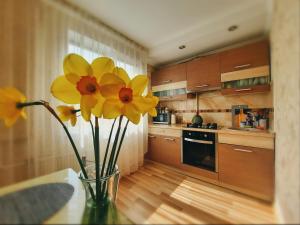 Kuchyň nebo kuchyňský kout v ubytování Dzenu Apartment