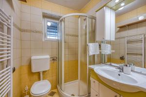 La salle de bains est pourvue de toilettes, d'une douche et d'un lavabo. dans l'établissement Lovely Cottage Tilka - Happy Rentals, à Novo Mesto