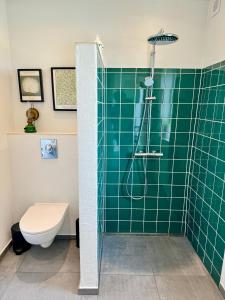 y baño con ducha de azulejos verdes y aseo. en Ellens Have, Lejlighed Asta en Ebeltoft