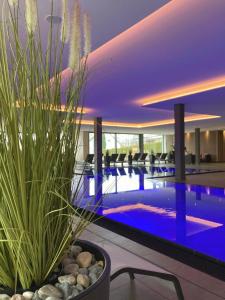 a hotel with a swimming pool with a potted plant at Hotel Traube am See in Friedrichshafen