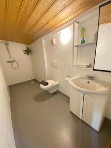 La salle de bains blanche est pourvue d'un lavabo et de toilettes. dans l'établissement Oceanfront View Country House - (Airport 10 min.), à Sandavágur
