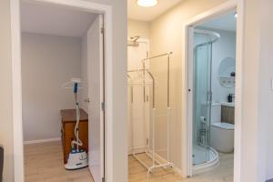 a bathroom with a glass shower and a toilet at Back Garden Flat with Free On Street Parking and Fiber WIFI - 15 mins to Ferry, Stadium, CBD in Wellington