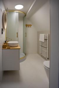 a bathroom with a sink and a toilet at Osada Mazurowe Love in Miłakowo +64 photos