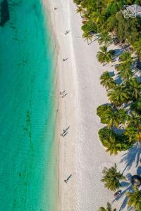 an overhead view of a beach with palm trees at Zuri Zanzibar in Kendwa