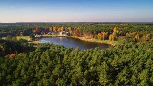 an aerial view of a lake in the middle of a forest at Hotel Odpocznia Resort i Las in Jaracz