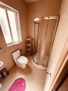 a bathroom with a shower and a toilet and a window at Central Sliema 3bdr. Apartment in Sliema