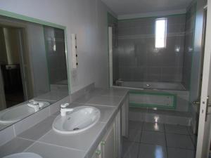 uma casa de banho com um lavatório e um espelho em Studio de Tourisme Tilleuls em Grenade-sur-lʼAdour