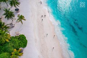 an overhead view of a beach with palm trees and the ocean at Zuri Zanzibar in Kendwa