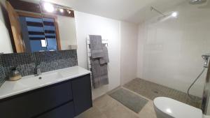 une salle de bain avec un lavabo, des toilettes et un miroir dans l'établissement 'Au Coeur des Vignes' - private apartment & garden, à Magalas