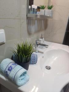 La salle de bains est pourvue d'un lavabo, d'une serviette et d'une plante. dans l'établissement Johnson House, à Rafína