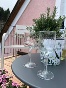 deux verres à vin sur une table avec une plante en pot dans l'établissement SOMMERHAUS JOSEFA, à Mühldorf