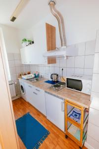Virtuvė arba virtuvėlė apgyvendinimo įstaigoje B&B Vransko 29