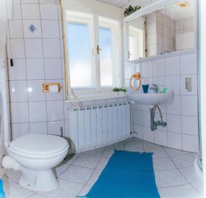 Koupelna v ubytování B&B Vransko 29