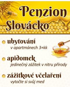 Fotografie z fotogalerie ubytování PENZION SLOVÁCKO v Ostrožské Nové Vsi