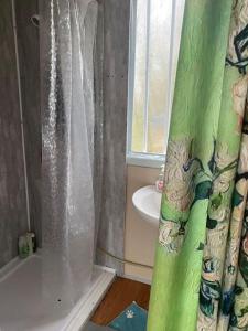 a bathroom with a shower curtain and a sink at The Cabin in the Woods in Dublin