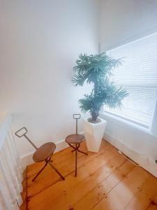 a room with two chairs and a potted plant at Modern, Newly Renovated 3bed, 2bath, Steps To Mbta in Boston