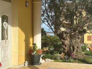 Vonkajšia záhrada v ubytovaní Villa Istriana + 37 fotografií