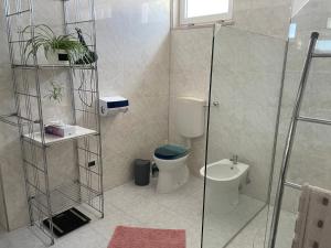 W łazience znajduje się toaleta i przeszklony prysznic. w obiekcie Casa Vittoria w mieście Mattinata