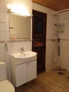 een badkamer met een wastafel, een toilet en een spiegel bij Einonhovi in Ylivieska