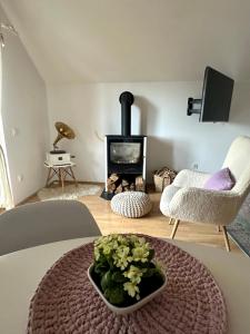 a living room with a fireplace and a table at Vineyard Cottage Planinc in Črnomelj